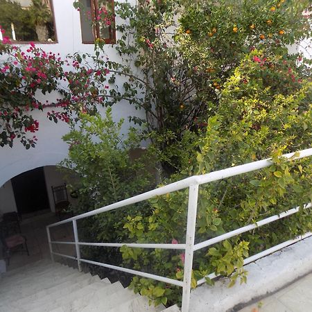 Hotel Casa San Miguel San Miguel de Allende Dış mekan fotoğraf