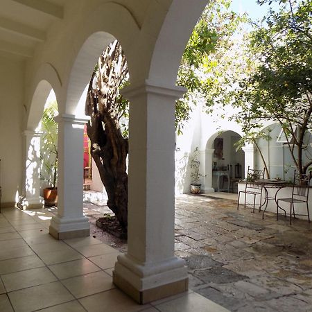 Hotel Casa San Miguel San Miguel de Allende Dış mekan fotoğraf