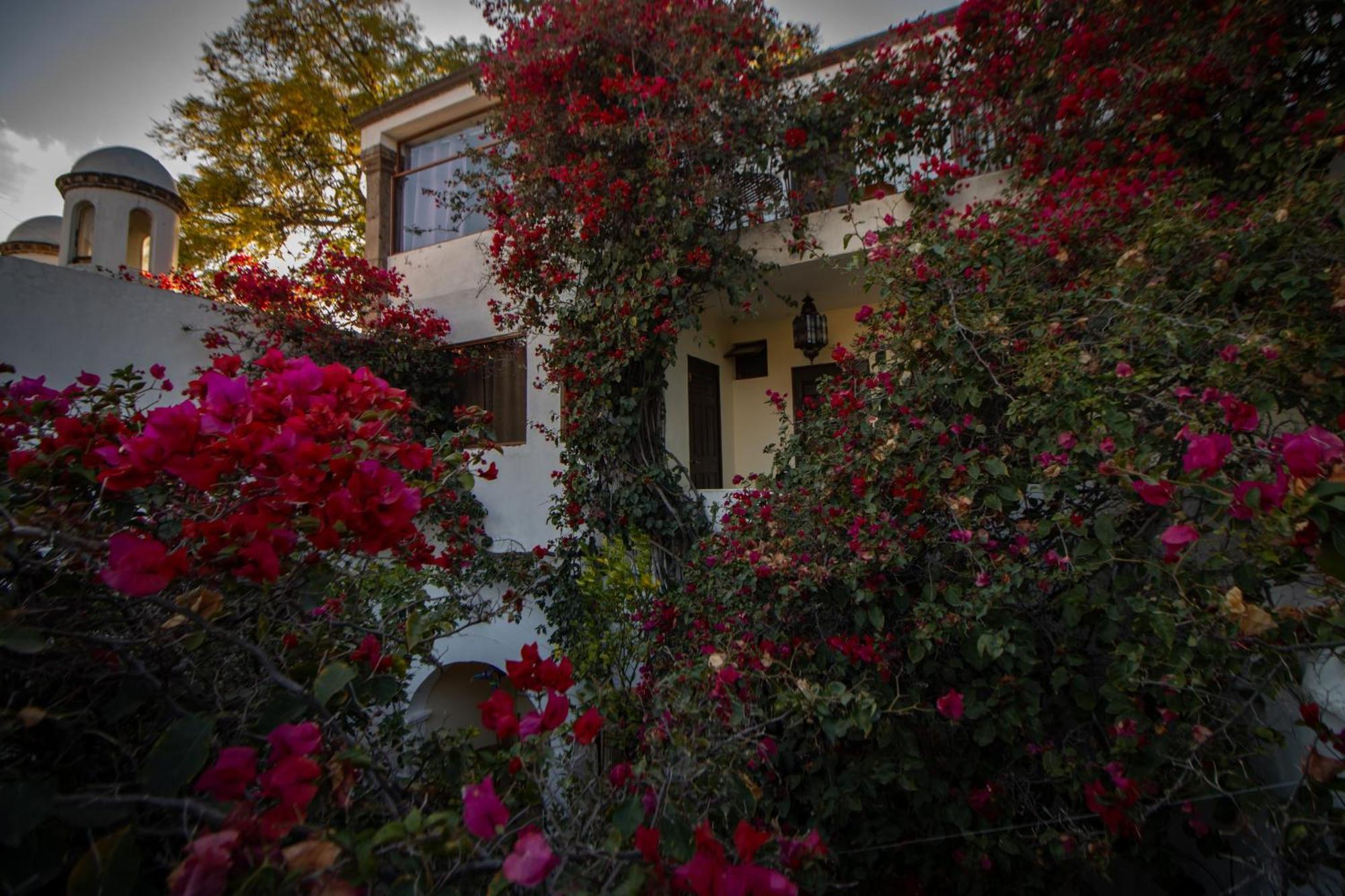 Hotel Casa San Miguel San Miguel de Allende Dış mekan fotoğraf