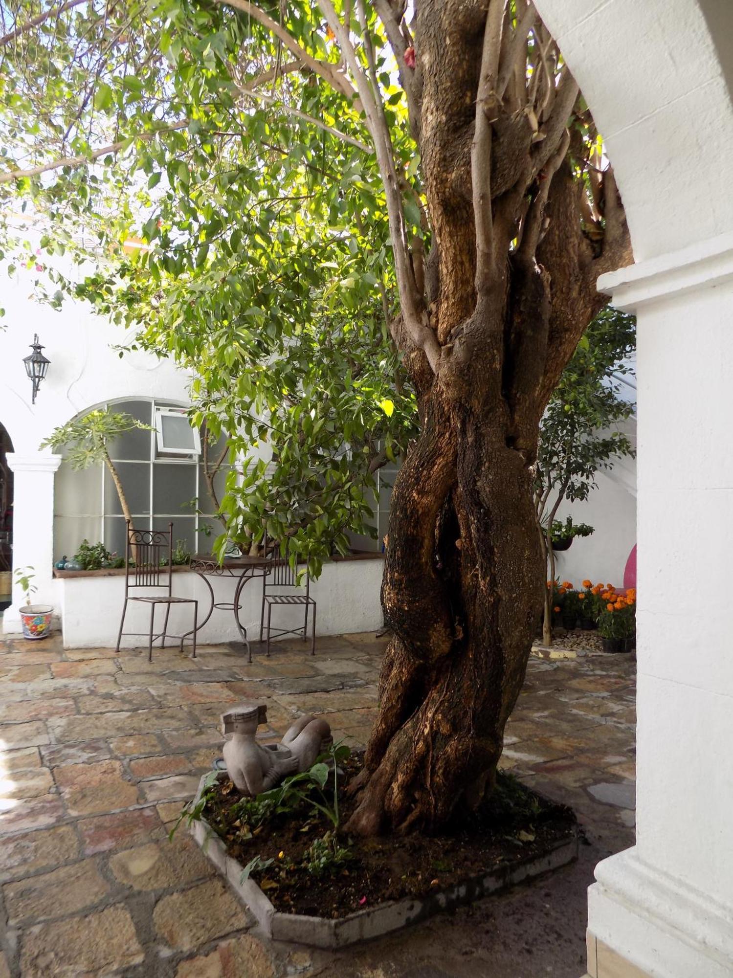 Hotel Casa San Miguel San Miguel de Allende Dış mekan fotoğraf