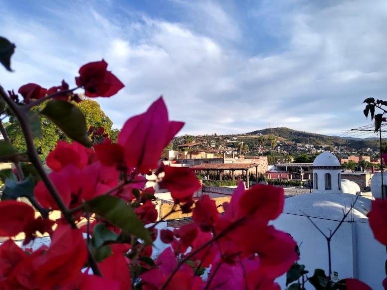 Hotel Casa San Miguel San Miguel de Allende Dış mekan fotoğraf